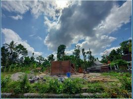  Land for sale in Prambanan, Klaten, Prambanan