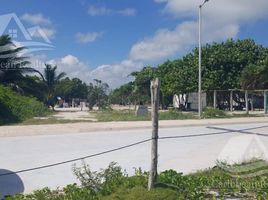  Grundstück zu verkaufen in Othon P Blanco, Quintana Roo, Othon P Blanco