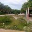  Grundstück zu verkaufen in Othon P Blanco, Quintana Roo, Othon P Blanco