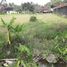  Terreno (Parcela) en venta en Ngaglik, Yogyakarta, Ngaglik