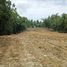  Land for sale in Sedayu, Bantul, Sedayu