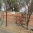  Grundstück zu verkaufen in Naucalpan De Juarez, Mexico, Naucalpan De Juarez, Mexico