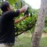  Land for sale in Seririt, Bali, Seririt, Buleleng