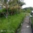  Land for sale in Seririt, Buleleng, Seririt