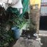 4 Schlafzimmer Villa zu verkaufen in Miguel Hidalgo, Mexico City, Miguel Hidalgo