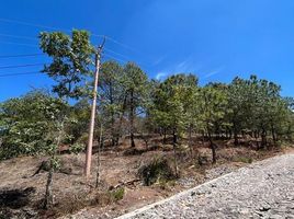 Grundstück zu verkaufen in Tapalpa, Jalisco, Tapalpa