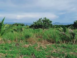  Grundstück zu verkaufen in Negros Oriental, Negros Island Region, Dauin