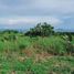  Land for sale in Negros Oriental, Negros Island Region, Dauin, Negros Oriental