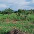  Grundstück zu verkaufen in Negros Oriental, Negros Island Region, Dauin