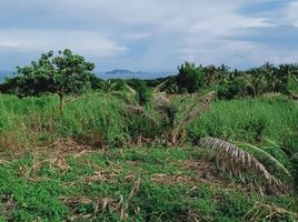  Grundstück zu verkaufen in Negros Oriental, Negros Island Region, Dauin