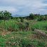  Land for sale in Negros Oriental Negros Island Region, Dauin, Negros Oriental