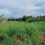  Grundstück zu verkaufen in Negros Oriental, Negros Island Region, Dauin, Negros Oriental