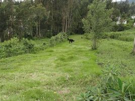  Terreno (Parcela) en venta en Imbabura, Otavalo, Otavalo, Imbabura