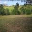  Land for sale in Colon, Barrio Norte, Colon, Colon