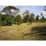  Land for sale in Colon, Barrio Norte, Colon, Colon