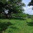  Terrain for sale in David, Chiriqui, Chiriqui, David