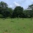  Land for sale in Chiriqui, Chiriqui, David, Chiriqui