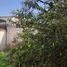3 Habitación Casa en venta en Santiago, Pirque, Cordillera, Santiago