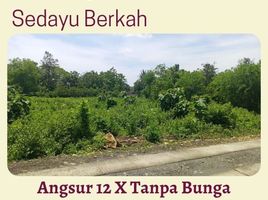  Land for sale in Sedayu, Bantul, Sedayu