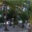  Grundstück zu verkaufen in Cozumel, Quintana Roo, Cozumel