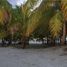  Grundstück zu verkaufen in Cozumel, Quintana Roo, Cozumel