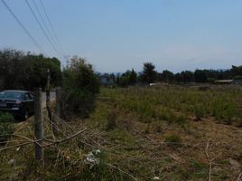  Land for sale in Tenango Del Valle, Mexico, Tenango Del Valle