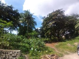  Grundstück zu verkaufen in Cebu City, Central Visayas, Cebu City, Cebu, Central Visayas, Philippinen