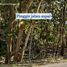  Land for sale in Tepus, Yogyakarta, Tepus, Gunung Kidul