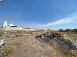  Land for sale in Tlayacapan, Morelos, Tlayacapan
