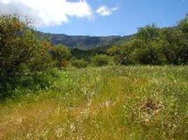  Terreno (Parcela) en venta en Valparaíso, Hijuelas, Quillota, Valparaíso