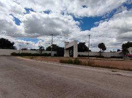  Land for rent in Jesus Maria, Aguascalientes, Jesus Maria