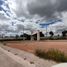 Land for rent in Jesus Maria, Aguascalientes, Jesus Maria