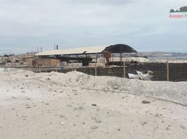  Land for sale in Chile, Caldera, Copiapo, Atacama, Chile