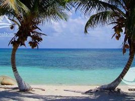  Grundstück zu verkaufen in Othon P Blanco, Quintana Roo, Othon P Blanco