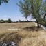  Terreno (Parcela) en venta en Huichapan, Hidalgo, Huichapan