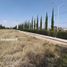  Terreno (Parcela) en venta en Huichapan, Hidalgo, Huichapan