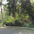 Terrain à vendre à Seyegan, Yogyakarta, Seyegan, Sleman, Yogyakarta