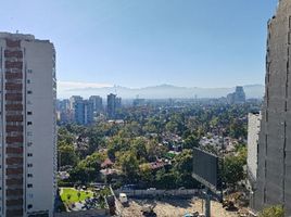 1 Habitación Apartamento en alquiler en Miguel Hidalgo, Ciudad de México, Miguel Hidalgo