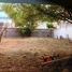  Land for sale in Monterrey, Nuevo Leon, Monterrey