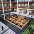 1,200 m2 Office for rent in Monterrey, Nuevo Leon, Monterrey