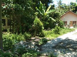  Land for sale in Bantul, Yogyakarta, Pajangan, Bantul