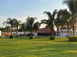 3 Bedroom House for rent in Yautepec, Morelos, Yautepec