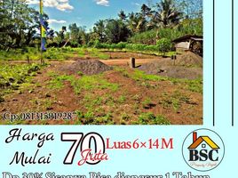  Land for sale in Kepanjen, Malang Regency, Kepanjen