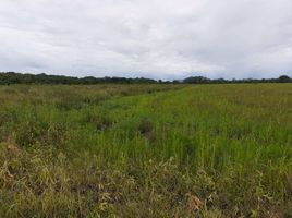  Land for sale in Yopal, Casanare, Yopal