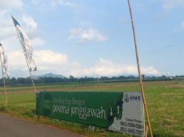  Land for sale in Jenggawah, Jember, Jenggawah