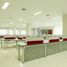 17,515 m2 Office for sale in Banten, Banjarsari, Lebak, Banten