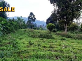  Grundstück zu verkaufen in Lembang, West Jawa, Lembang, Bandung, West Jawa, Indonesien