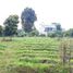  Grundstück zu verkaufen in Lembang, West Jawa, Lembang, Bandung, West Jawa, Indonesien