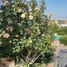 6 Bedroom House for sale in Chile, Valparaiso, Valparaiso, Valparaiso, Chile
