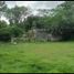 Terrain à vendre à Conkal, Yucatan, Conkal, Yucatan